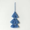 Butterfly pea