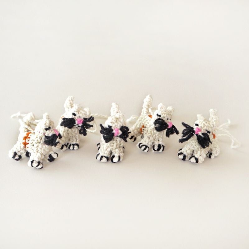 いずれかをお届けいたします※お選びいただけません